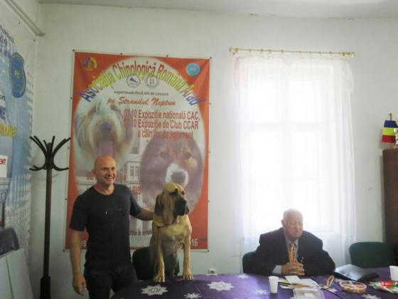Pénteken kezdődik a nemzetközi kutyakiállítás