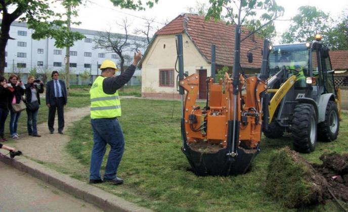 Átültető géppel költöztetik a temesvári fákat