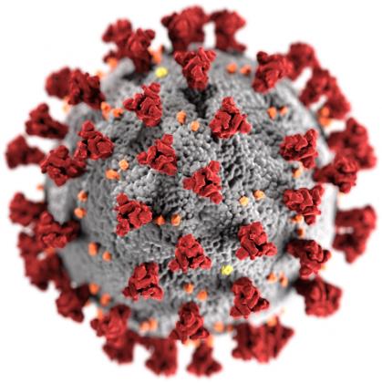 Tizenkilenc új koronavírusos esetről számoltak be hétfőn reggel